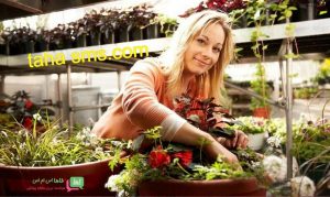 پنل پیامکی برای فروشندگان گل و گیاه