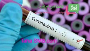 همه چیزهایی که شما باید در مورد بازاریابی کسب و کار خود در طول coronavirus بدانید